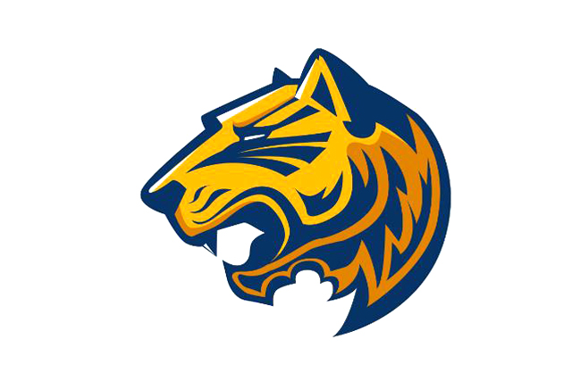 商標查詢怎么收費，商標查詢價格貴嗎?